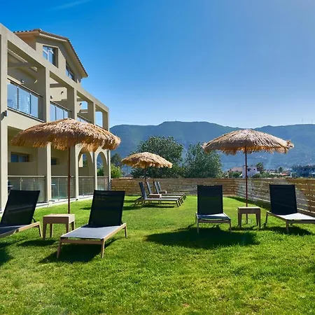 Grapevines 4*