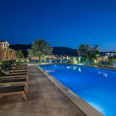 Grapevines 4*