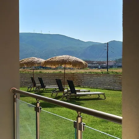 Grapevines Alykanas (Zakynthos)